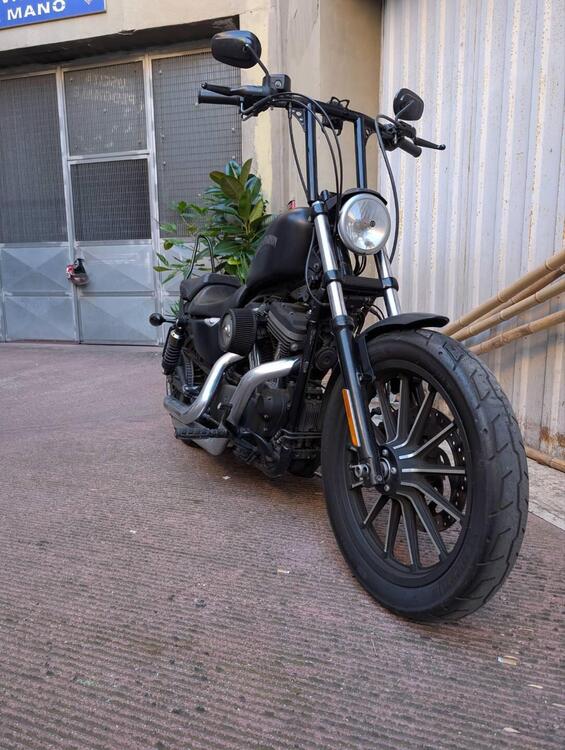 Harley-Davidson 883 Iron (2012 - 14) - XL 883N (4)