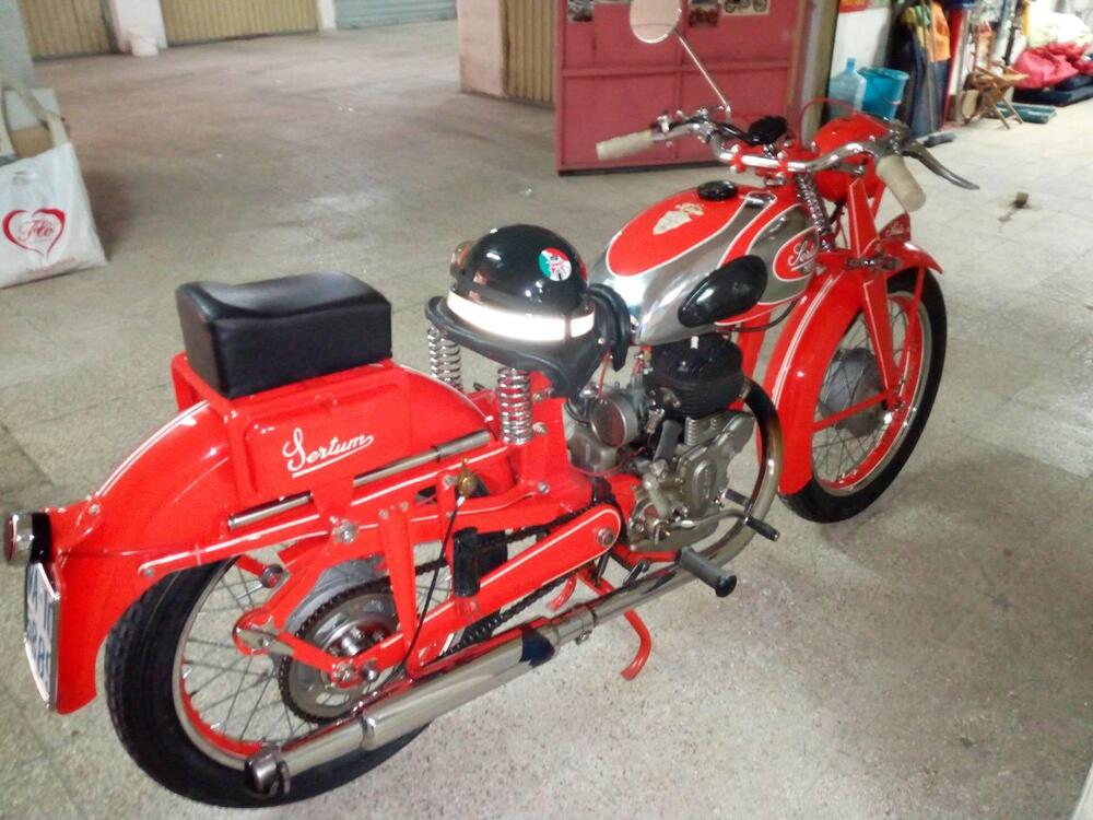 Sertum VL 250 SIMU (5)