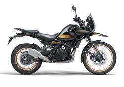 Royal Enfield Himalayan 450 (2024 - 25) nuova