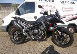 Triumph Tiger 900 GT Pro (2024 - 25) usata