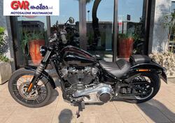 Harley-Davidson Street Bob 117 (2025) usata