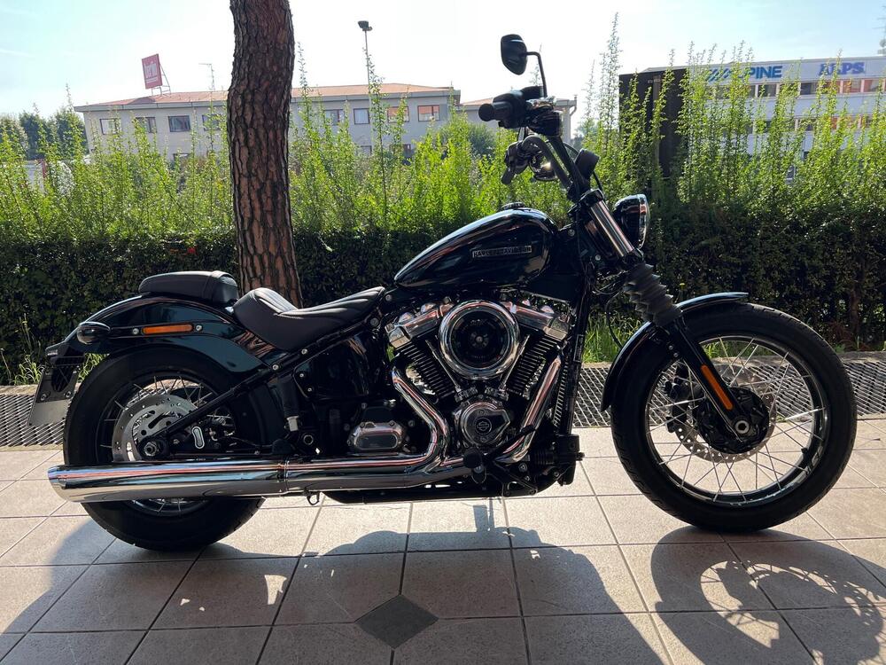 Harley-Davidson Street Bob 117 (2025) (2)