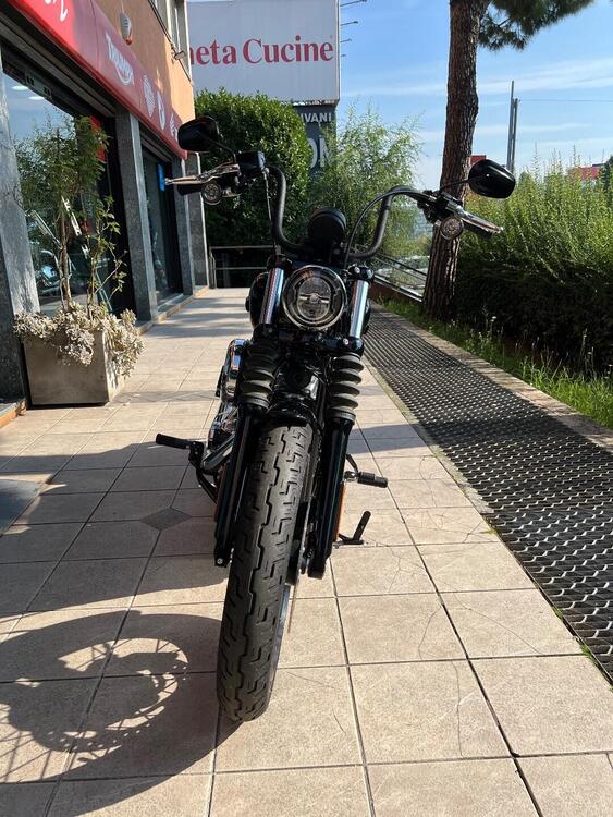 Harley-Davidson Street Bob 117 (2025) (3)