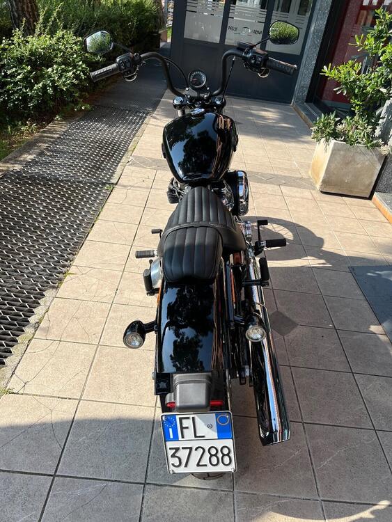 Harley-Davidson Street Bob 117 (2025) (4)