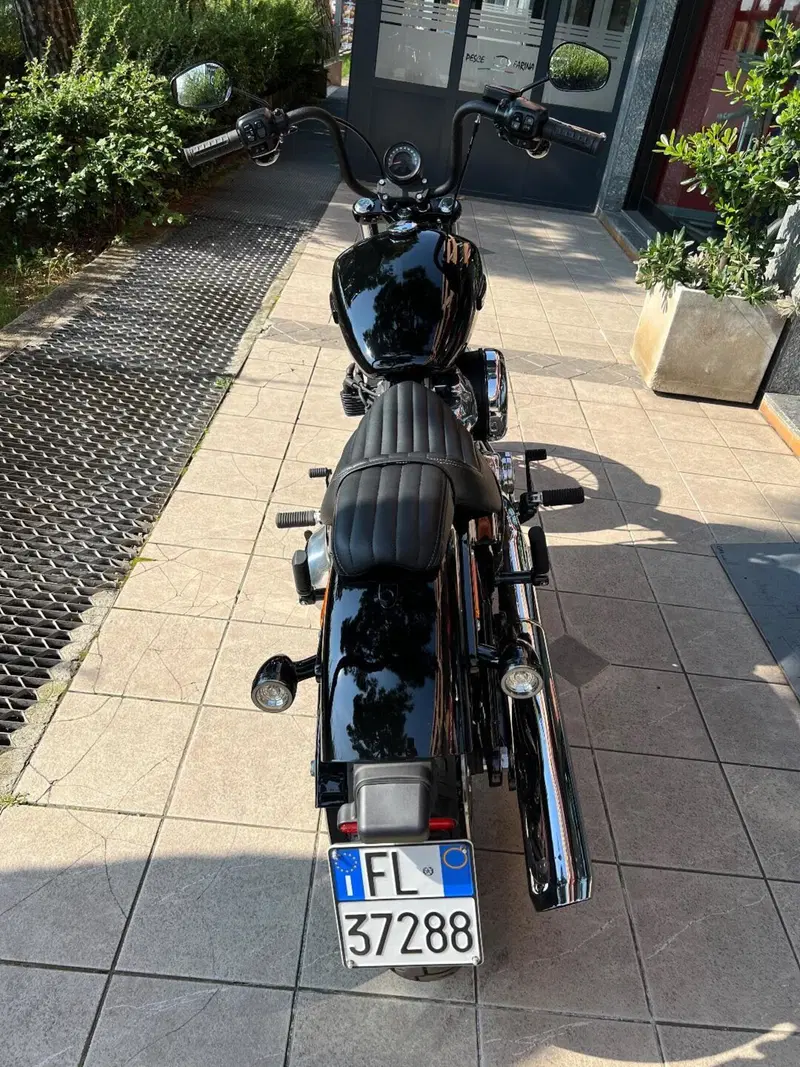 Harley-Davidson Street Bob 117 (2025 - 26) (4)