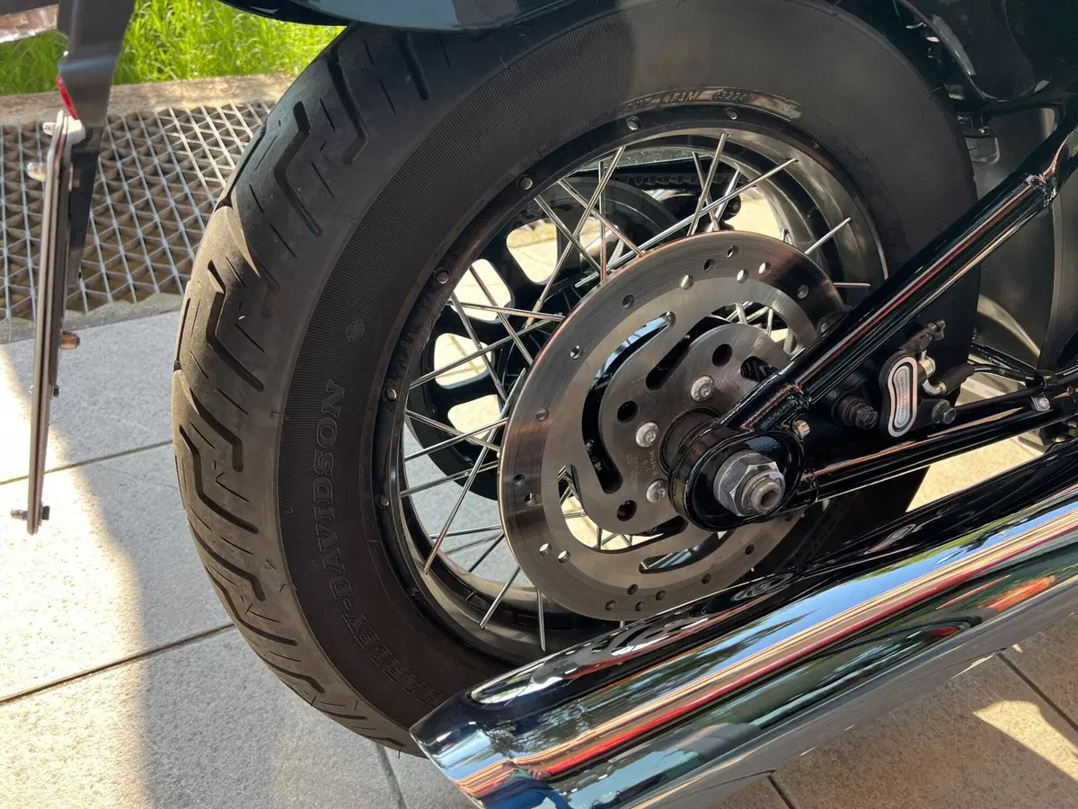 Harley-Davidson Street Bob 117 (2025 - 26) (13)