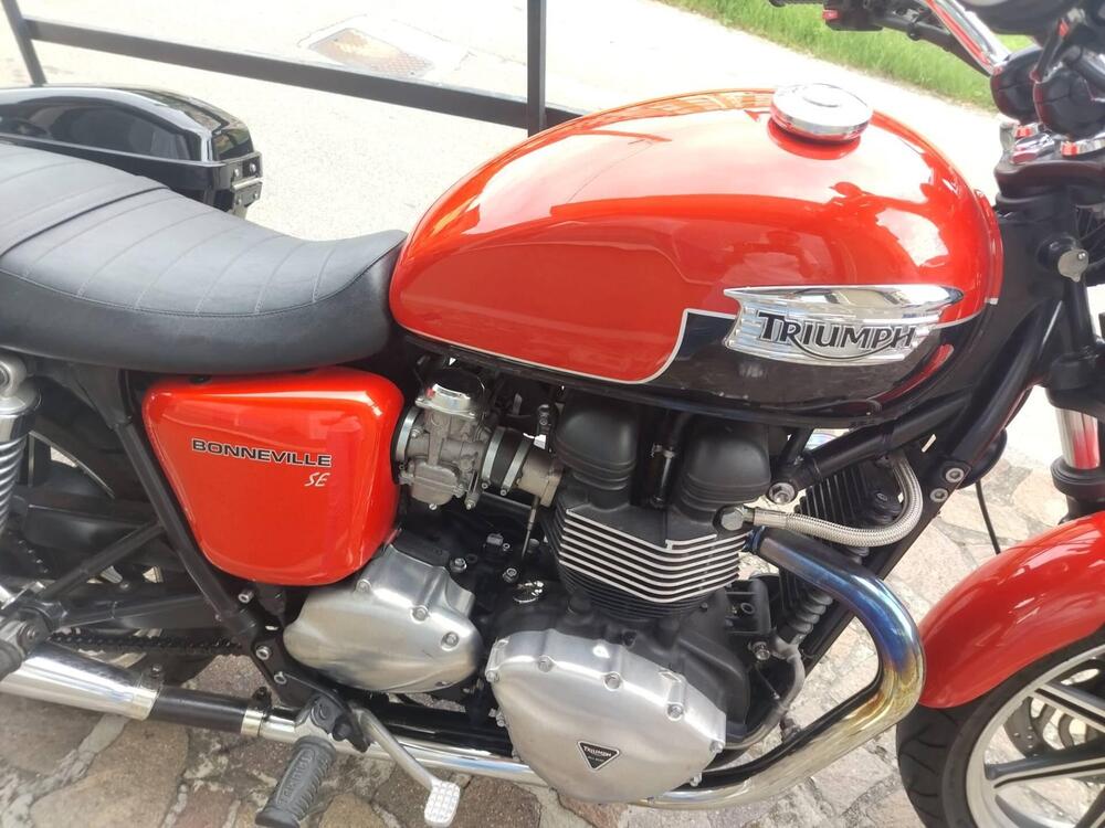 Triumph Bonneville SE (2009 - 13) (5)