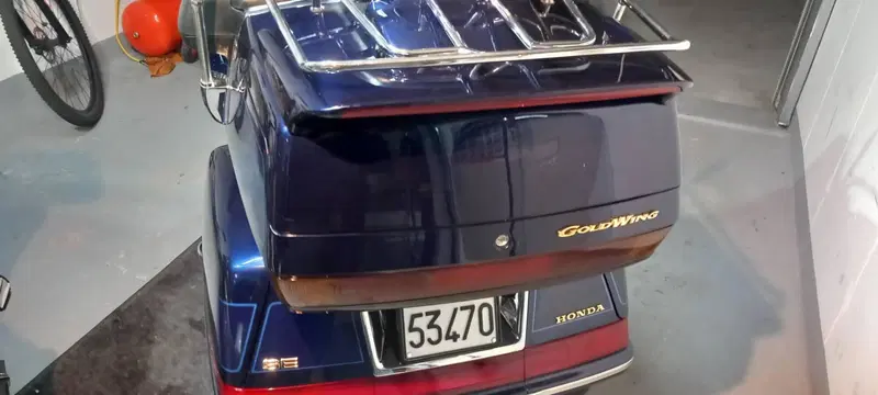Honda GL 1500 SE Gold Wing (1991 - 02) (12)