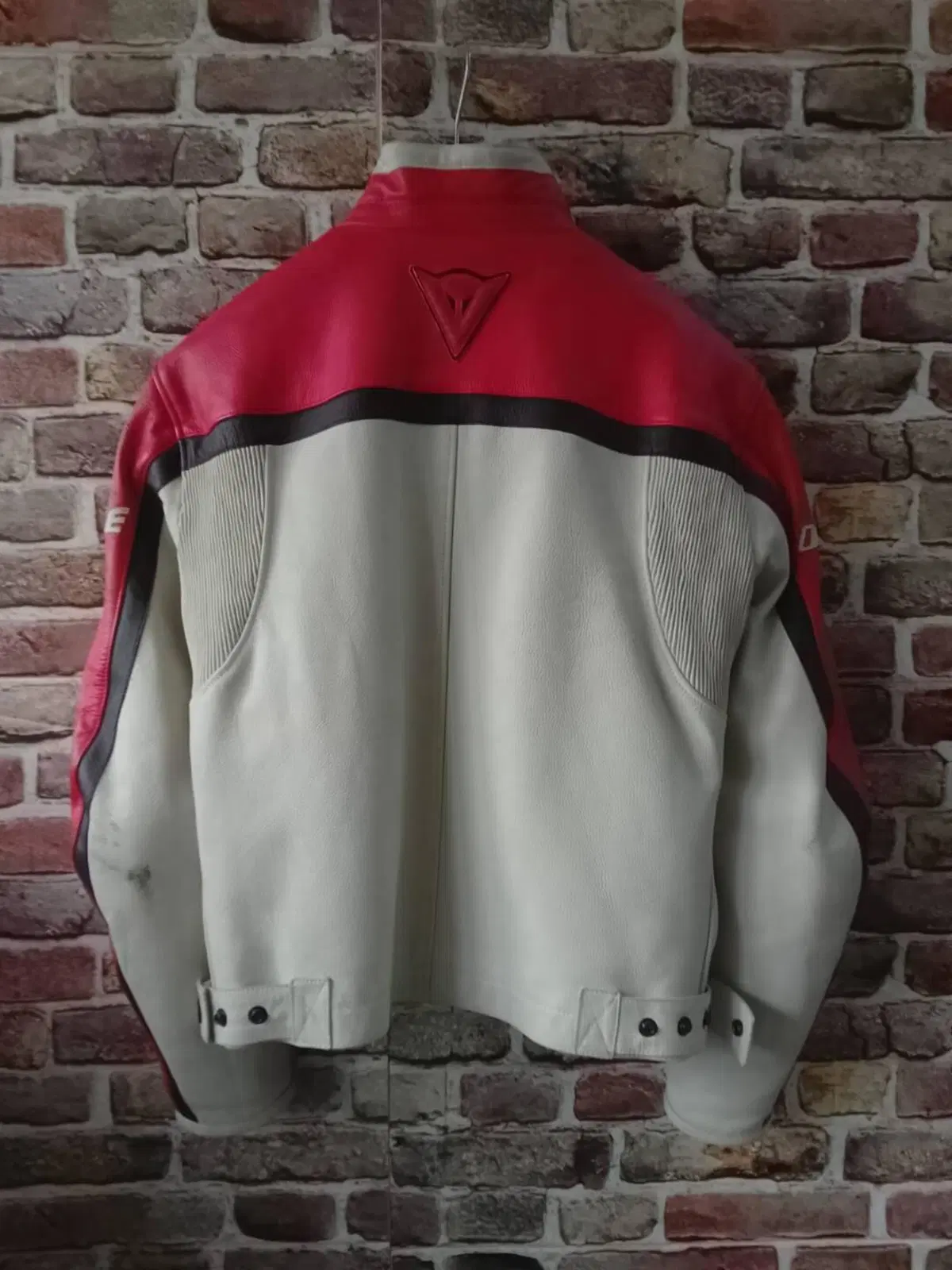 Giacca pelle DAINESE (2)