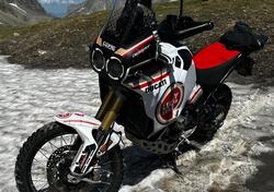 Ducati DesertX (2022 - 25) usata