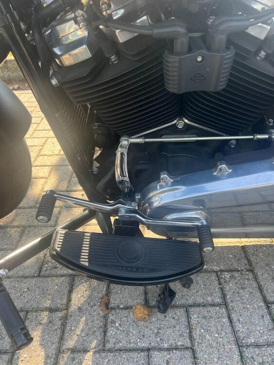 Harley-Davidson 107 Slim (2018 - 20) - FLSL (5)