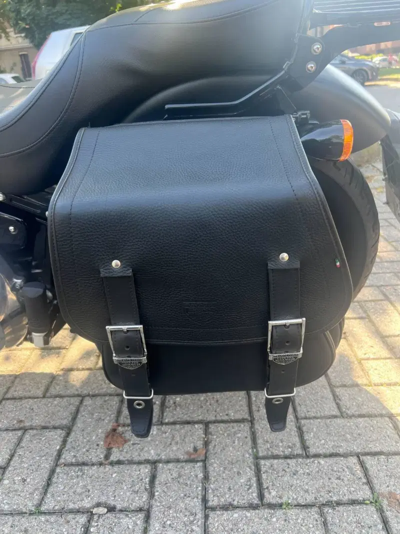 Harley-Davidson 107 Slim (2018 - 20) - FLSL (7)