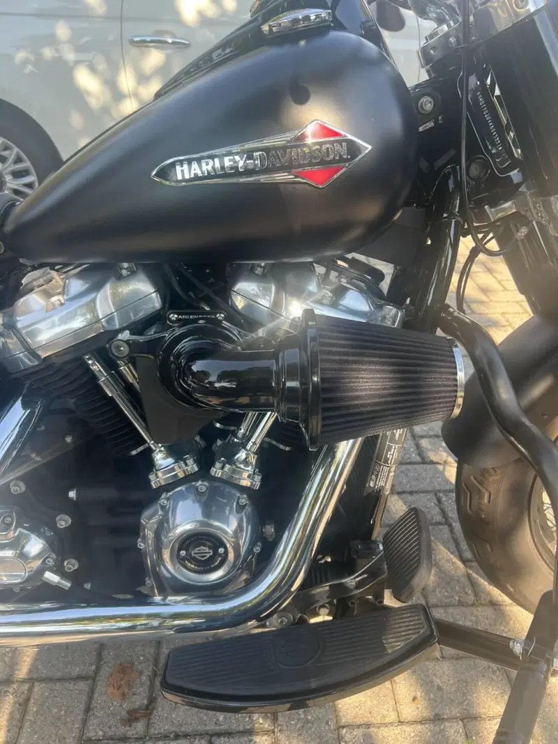 Harley-Davidson 107 Slim (2018 - 20) - FLSL (9)