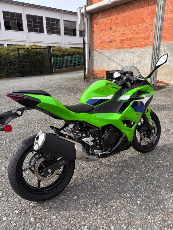 Kawasaki Ninja 500 SE (2024 - 26) (4)