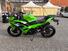 Kawasaki Ninja 500 SE (2024 - 26) (6)