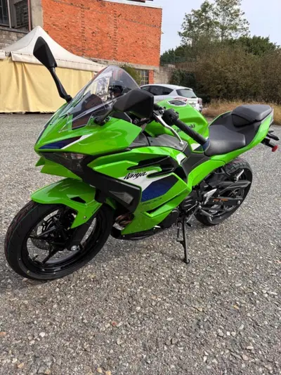 Kawasaki Ninja 500 SE (2024 - 26) nuova