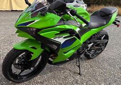 Kawasaki Ninja 500 SE (2024 - 26) nuova