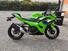 Kawasaki Ninja 500 SE (2024 - 26) (7)