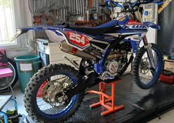 Yamaha WR 250 F (2018) usata