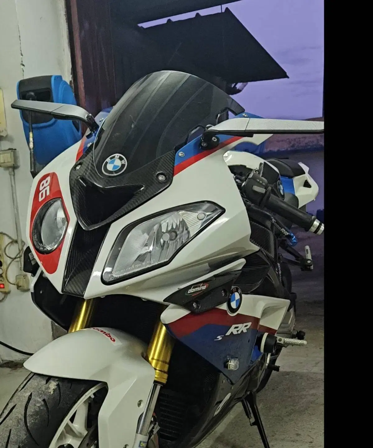 Bmw S 1000 RR (2009 - 12) (11)