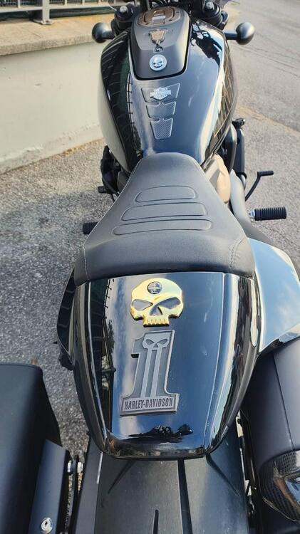 Harley-Davidson Sportster S (2022 - 24) (4)