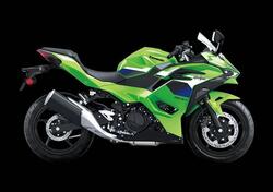 Kawasaki Ninja 500 SE (2024 - 26) nuova