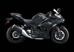 Kawasaki Ninja 500 (2024 - 26) nuova