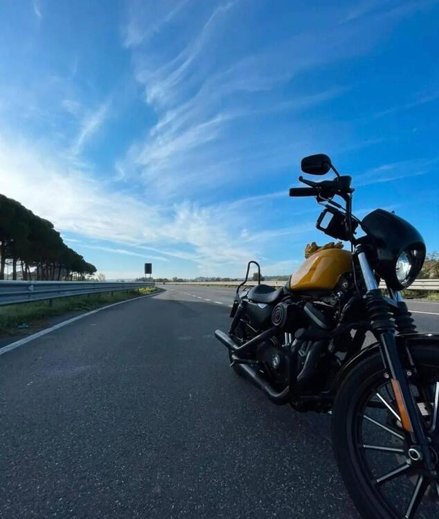 Harley-Davidson 883 Iron (2009 - 11) - XL 883N (3)