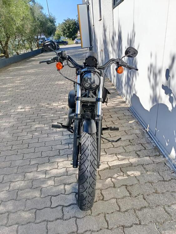 Harley-Davidson 883 R (2008 - 16) - XL 883R (3)