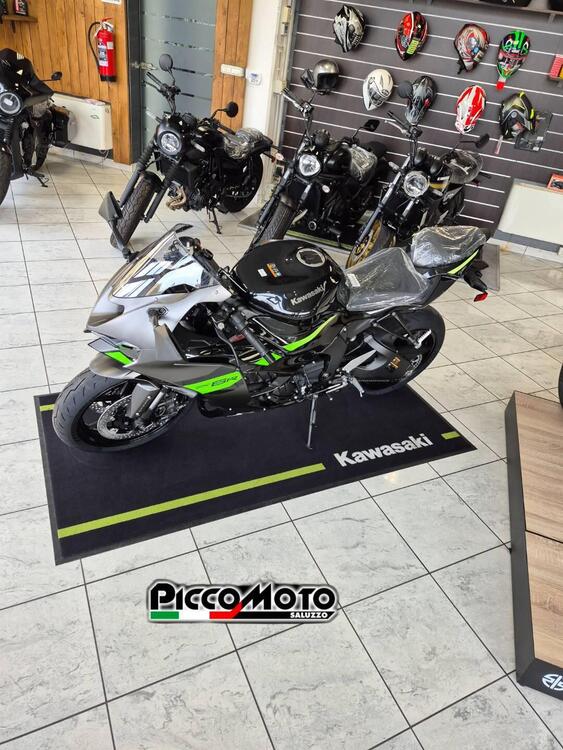 Kawasaki Ninja 636 ZX-6R (2024 - 26) (4)