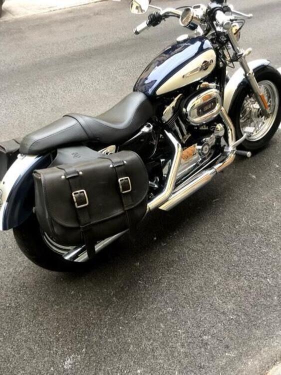 Harley-Davidson 1200 Custom (2007 - 13) - XL 1200C (3)