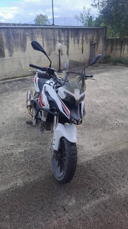 Benelli TRK 251 (2022 - 25) (5)