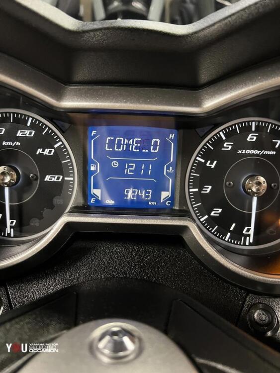 Yamaha X-Max 300 ABS (2017 - 20) (3)