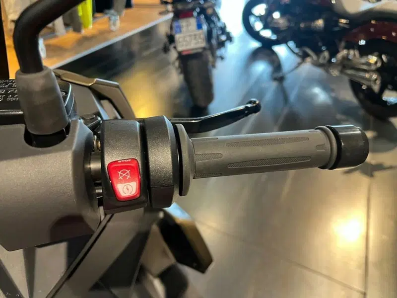 Bmw C 400 X (2025 - 26) (9)
