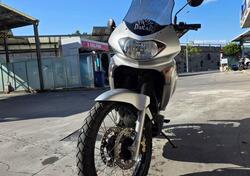 Honda Transalp XL 650V (2005 - 06) usata
