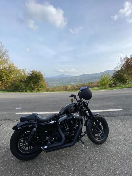 Harley-Davidson 1200 Forty-Eight (2016 - 20) (3)