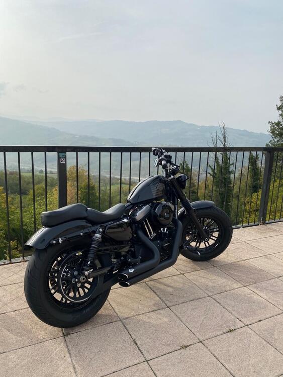 Harley-Davidson 1200 Forty-Eight (2016 - 20) (4)