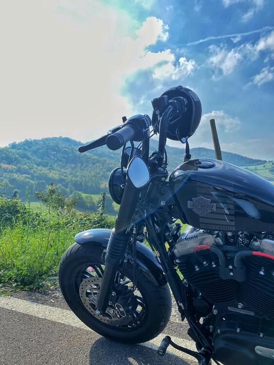 Harley-Davidson 1200 Forty-Eight (2016 - 20) (5)