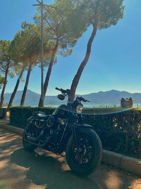 Harley-Davidson 1200 Forty-Eight (2016 - 20)