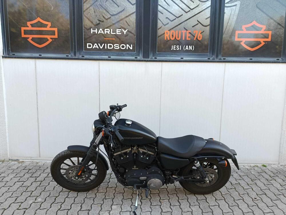 Harley-Davidson 883 Iron (2009 - 11) - XL 883N (2)