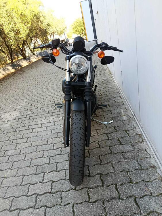 Harley-Davidson 883 Iron (2009 - 11) - XL 883N (3)