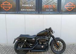 Harley-Davidson 883 Iron (2009 - 11) - XL 883N usata