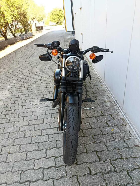 Harley-Davidson 883 Iron (2009 - 11) - XL 883N (4)