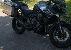 Triumph Tiger 1200 XCx (2018 - 20) usata