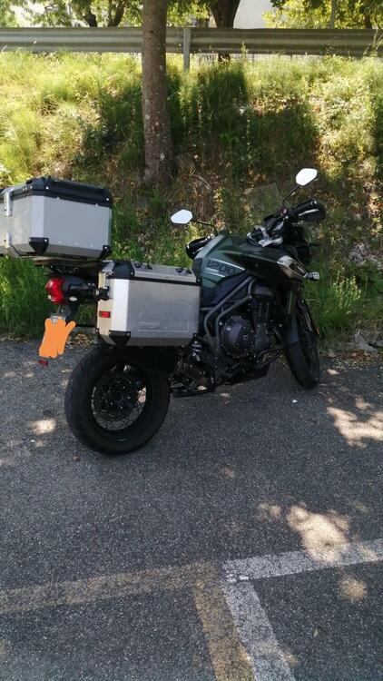 Triumph Tiger 1200 XCx (2018 - 20) (3)
