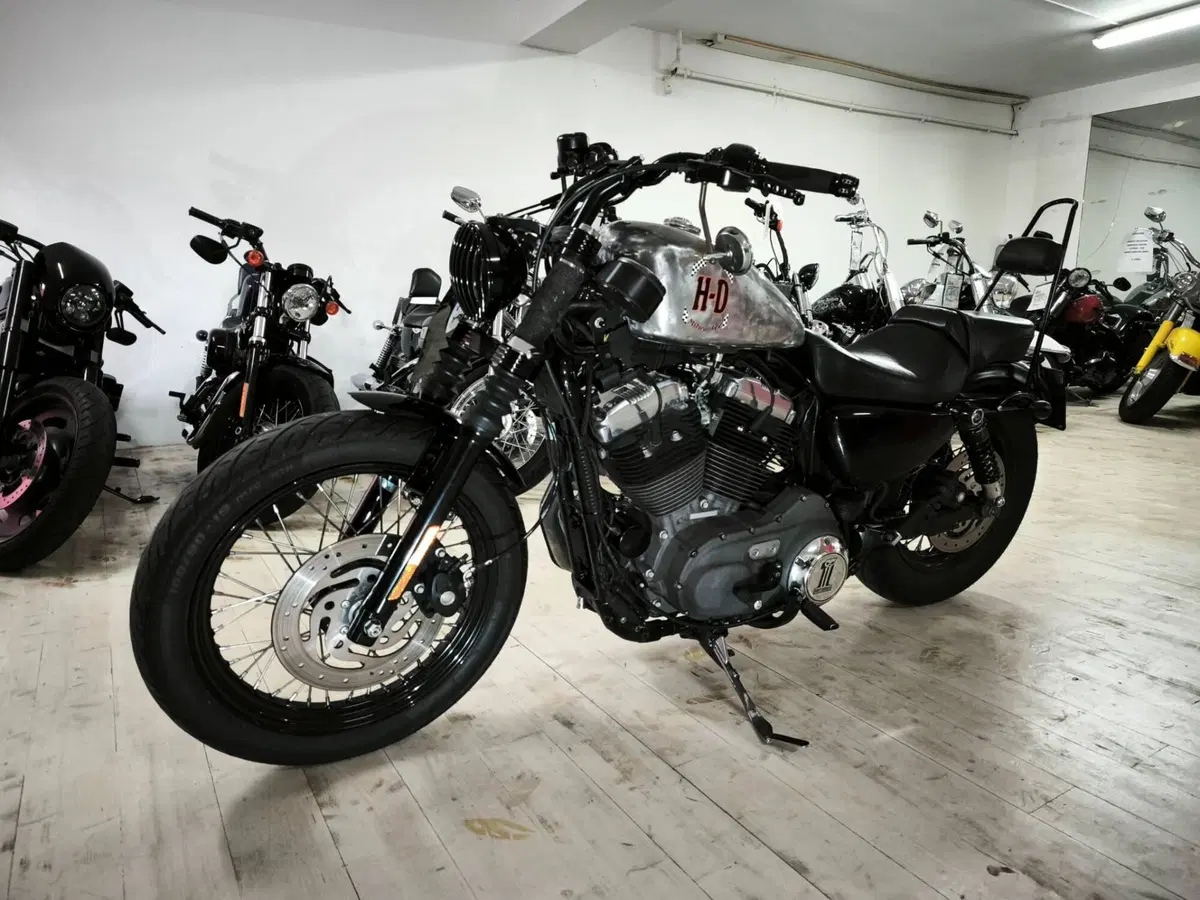 Harley-Davidson XL 1200N Nightster (2008 - 12) (2)