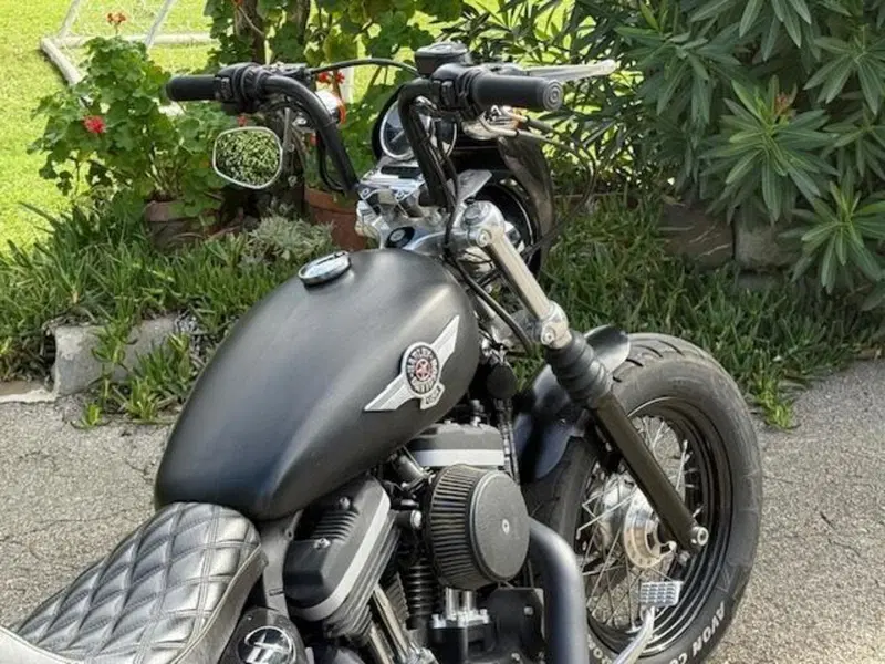 Harley-Davidson 1200 Forty-Eight (2010 - 15) (11)