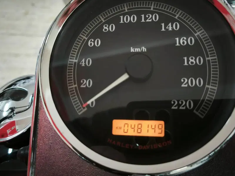 Harley-Davidson 1584 Heritage Classic (2008 - 10) - FLSTC (5)
