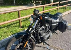 Harley-Davidson 883 Iron (2017 - 20) - XL 883N usata