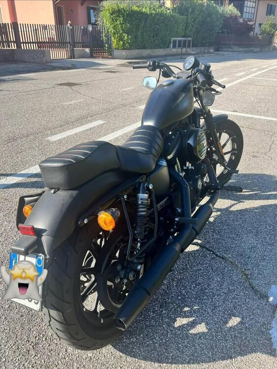 Harley-Davidson 883 Iron (2017 - 20) - XL 883N (2)